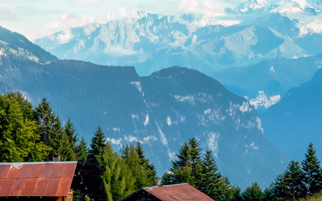 Punaises de lit à Villars : comment les repérer et agir vite ?