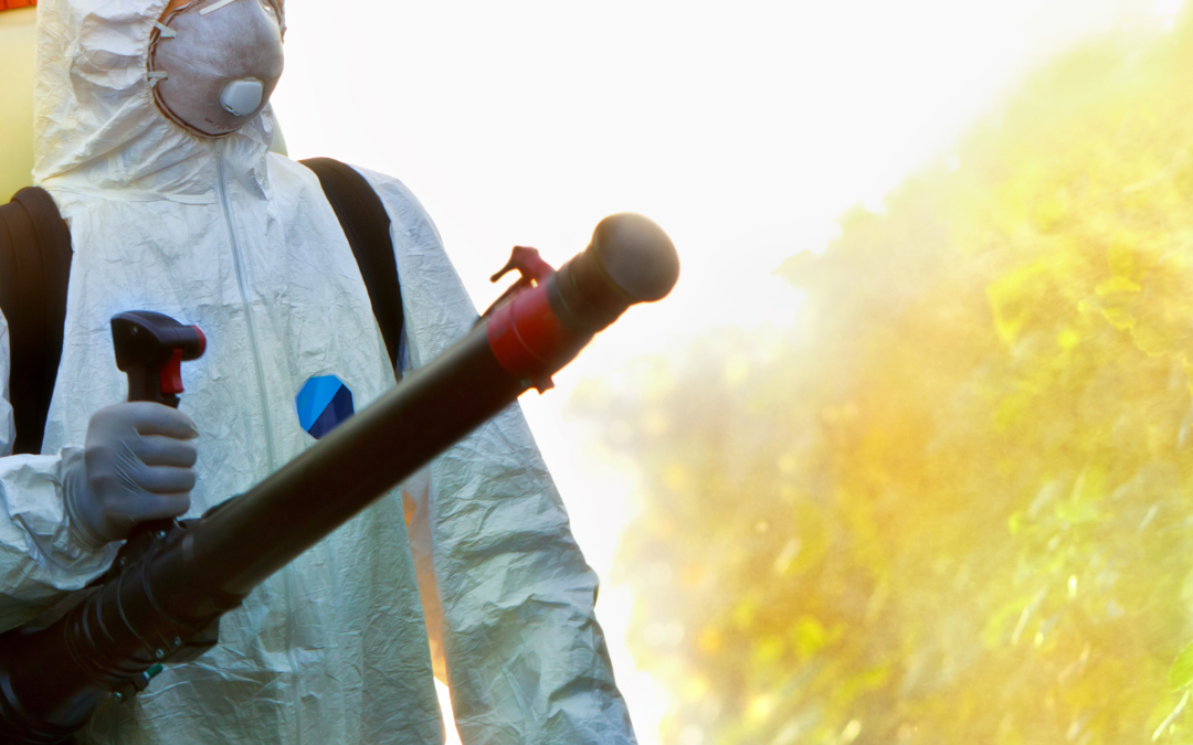 Comment se déroule une intervention anti-nuisible chez Be Protect ?