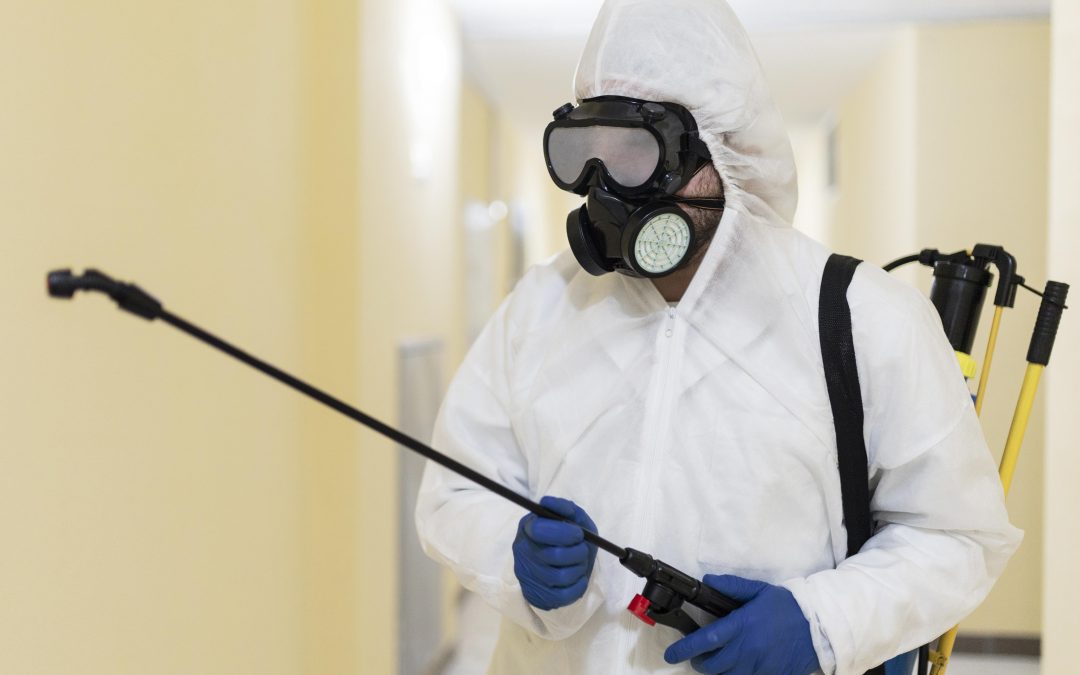 Urgence nuisible 24/24 à Lyon : qui contacter immédiatement ?