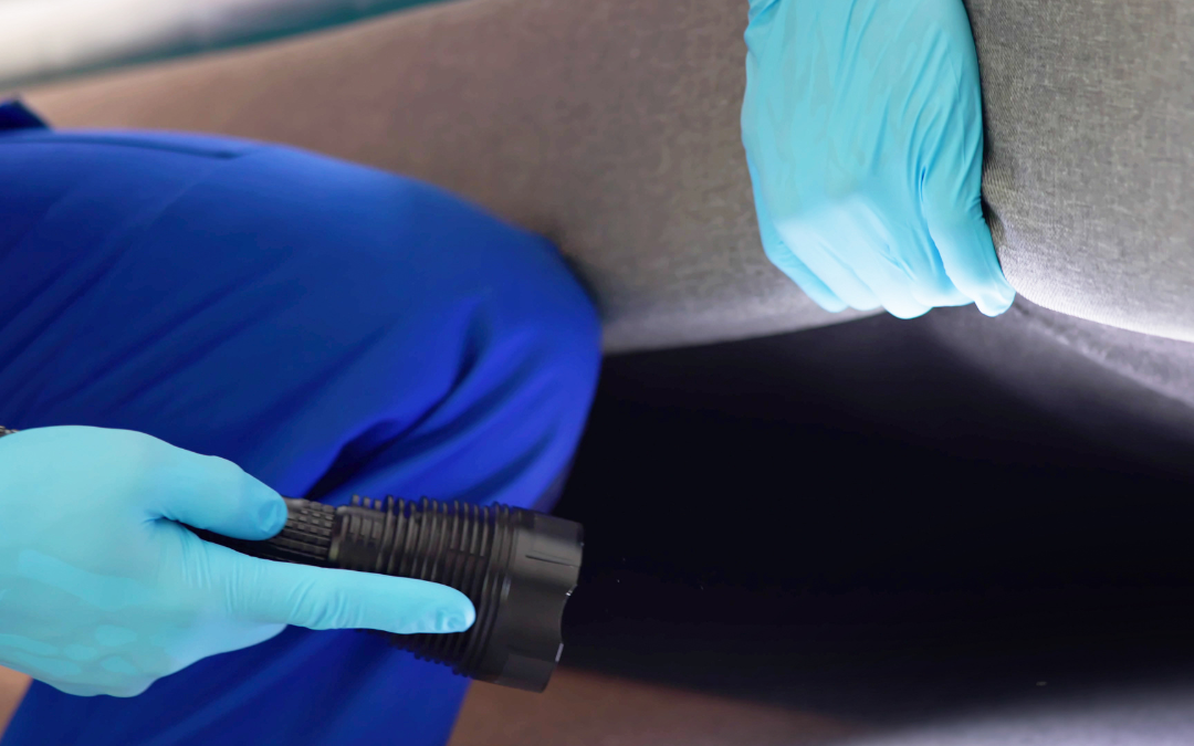 Punaises de lit à Villeurbanne : traitement thermique ou chimique ?