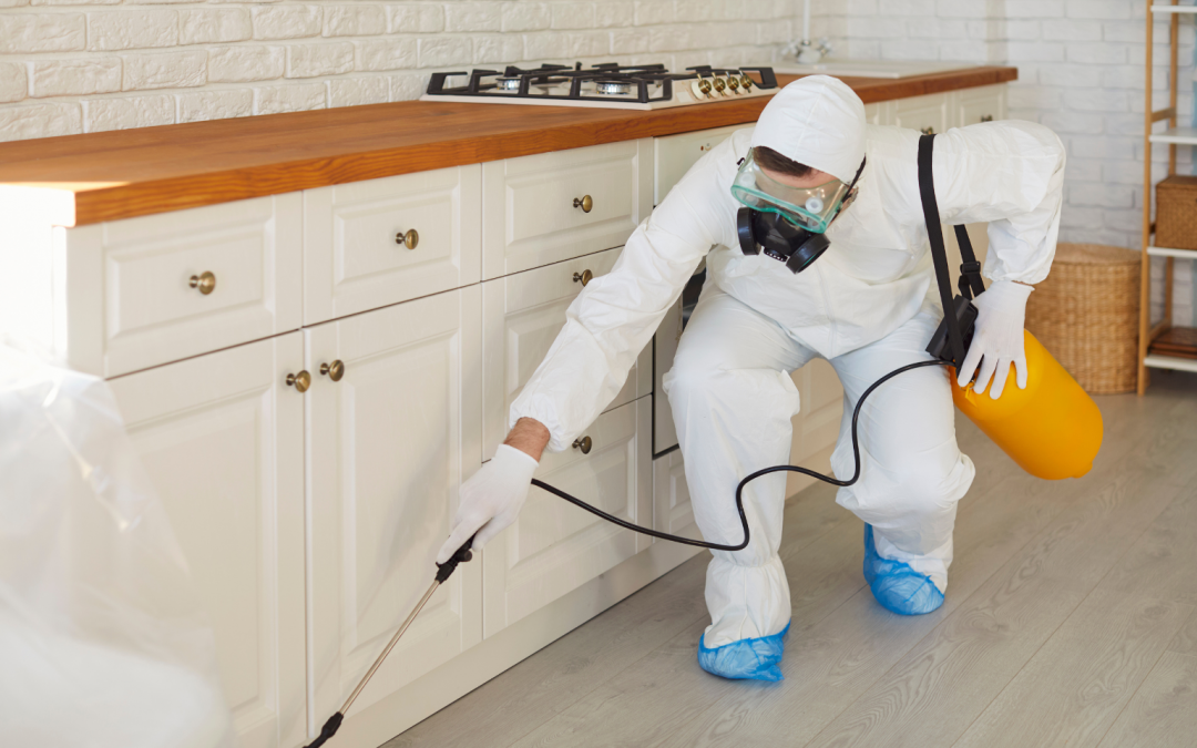 Le Plan d&rsquo;Hygiène Sanitaire : Obligation des Restaurants et Commerces Alimentaires à Brignais et dans l&rsquo;Ouest Lyonnais (Norme HACCP et Expertise Professionnelle)