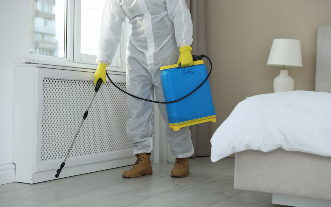 Mon Voisin a des Nuisibles à Brignais : Quand l&rsquo;Infestation Crée un Conflit de Voisinage dans le Rhône (L&rsquo;Expertise BE PROTECT au Service de la Médiation et de la Loi)