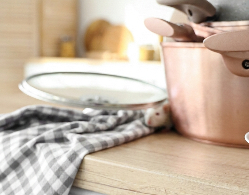 Rats, souris : comment prévenir l&rsquo;infestation de rongeurs et sécuriser votre foyer avant l’arrivée du froid