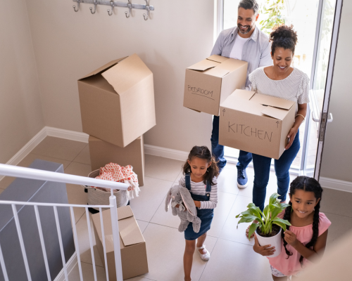 Comment préparer son logement avant une intervention anti-nuisibles