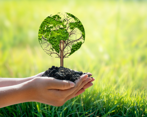 Solutions écologiques anti-nuisibles : pourquoi elles séduisent de plus en plus